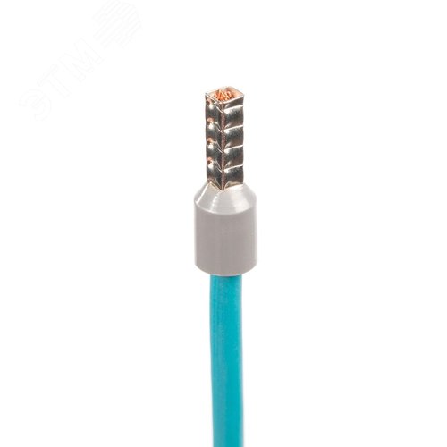 Миниатюра 5