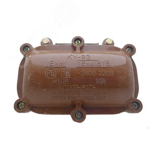 Миниатюра 3