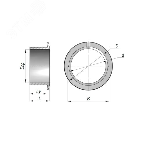 Миниатюра 2