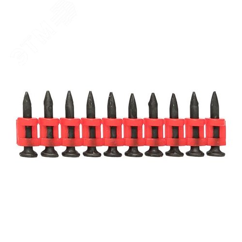 Миниатюра 4