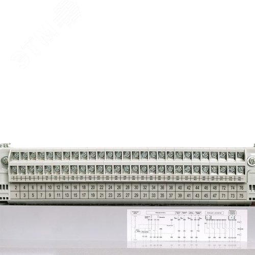 Миниатюра 6