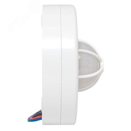 Миниатюра 3