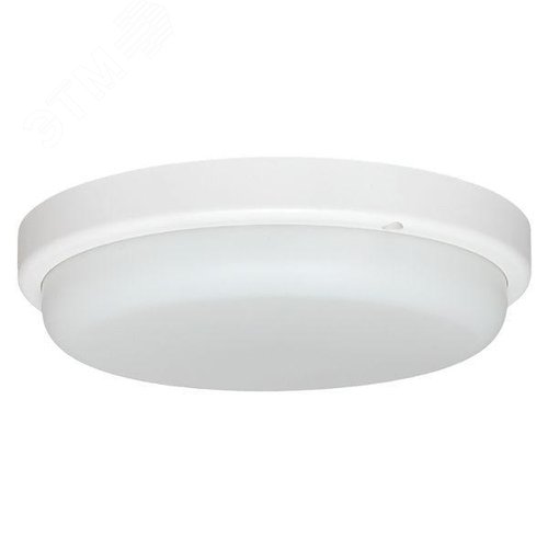 Миниатюра 5