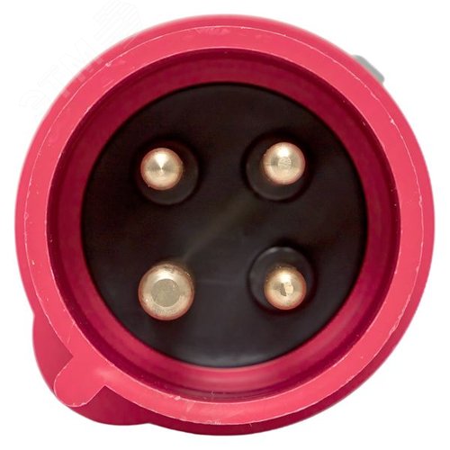 Миниатюра 4