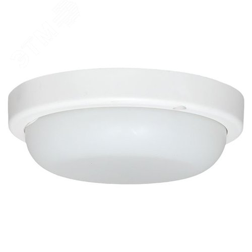 Миниатюра 5