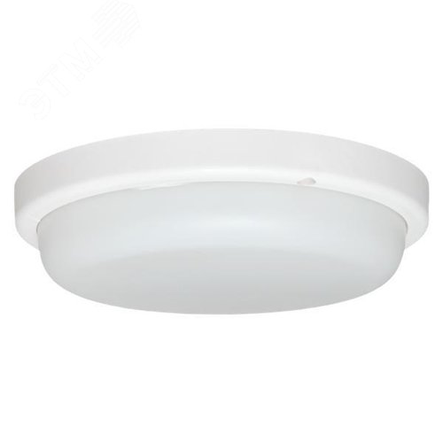 Миниатюра 5