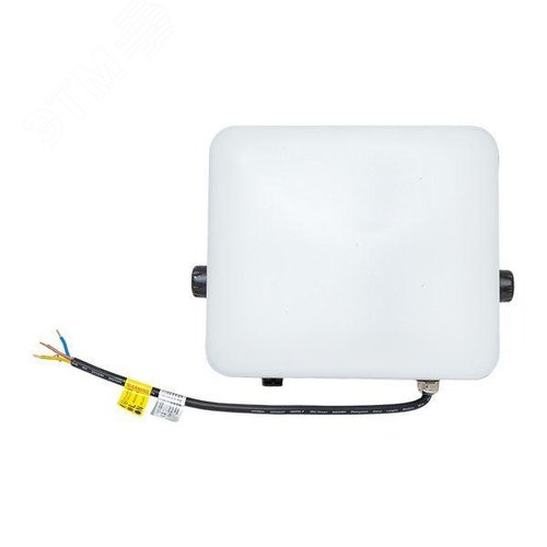 Миниатюра 13