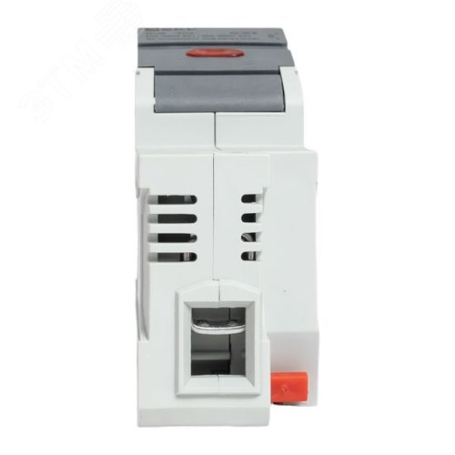 Миниатюра 11