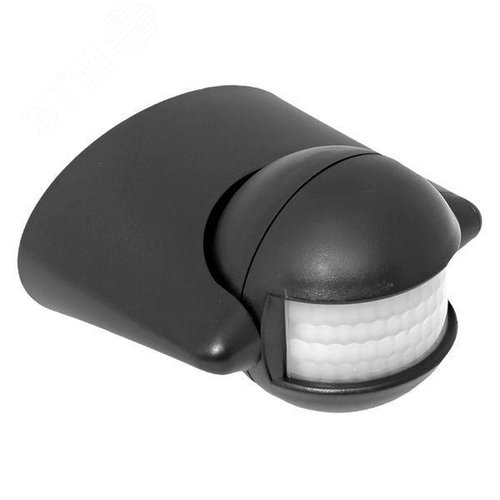 Миниатюра 8