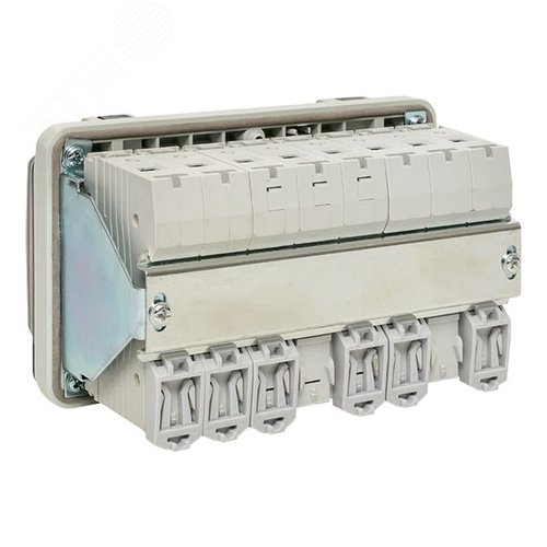 Миниатюра 13