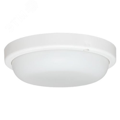 Миниатюра 5
