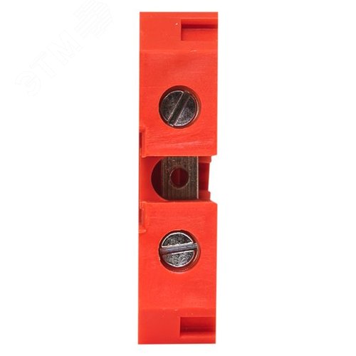 Миниатюра 7