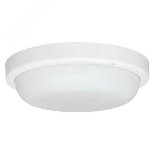 Миниатюра 5