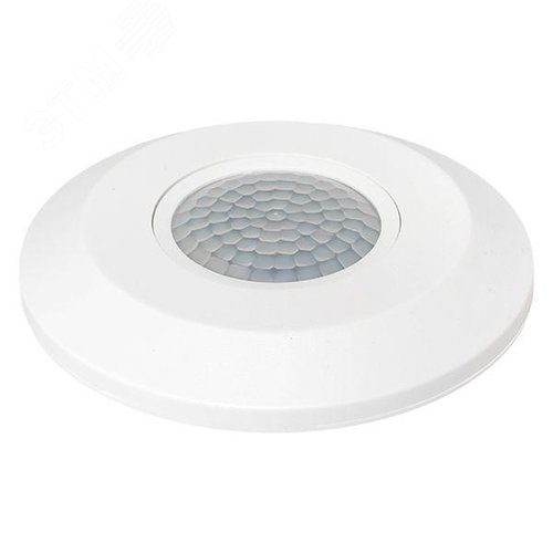 Миниатюра 6