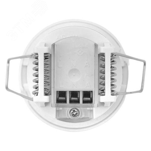 Миниатюра 6