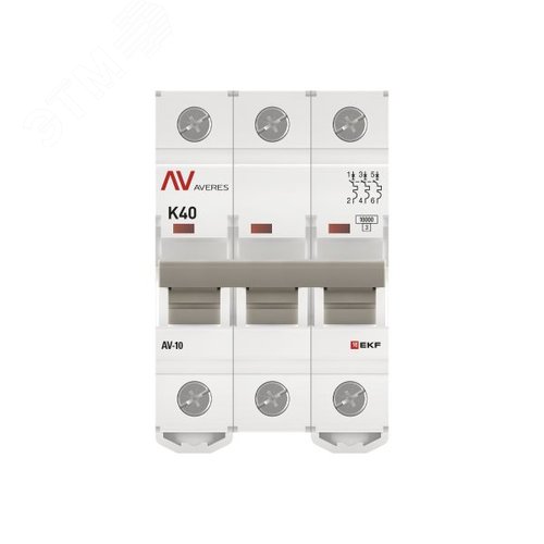 Миниатюра 4