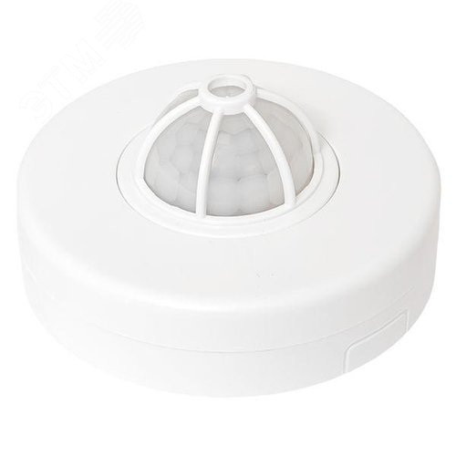 Миниатюра 6