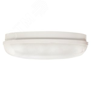 Миниатюра 6