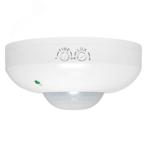 Миниатюра 6