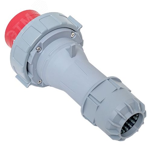 Миниатюра 4