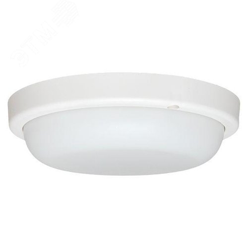 Миниатюра 5