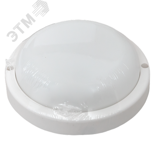Миниатюра 7