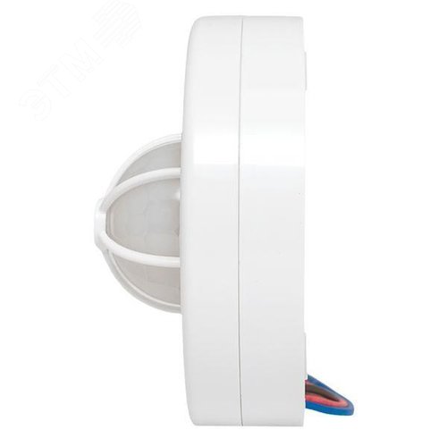 Миниатюра 5