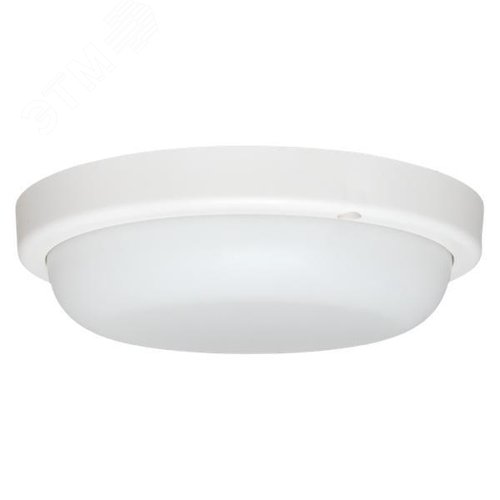 Миниатюра 5