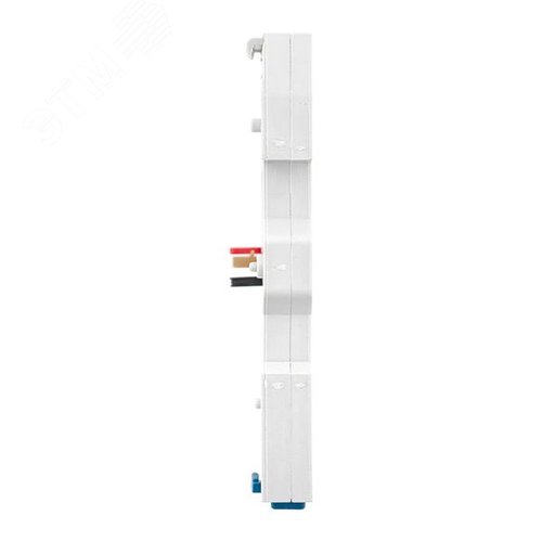 Миниатюра 4