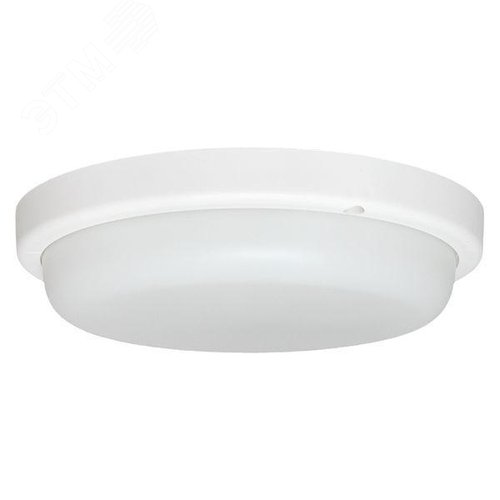 Миниатюра 5