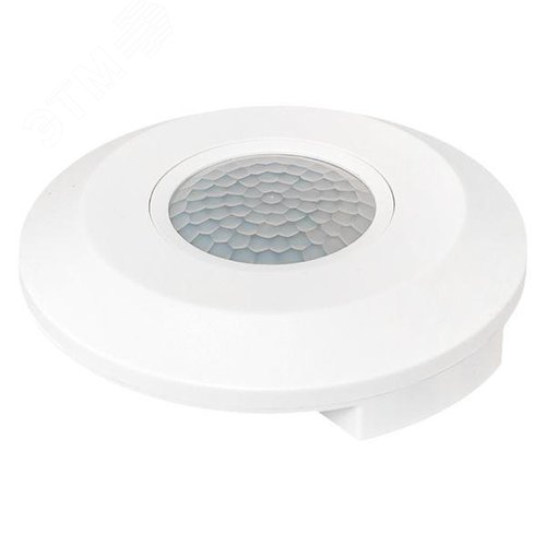 Миниатюра 7