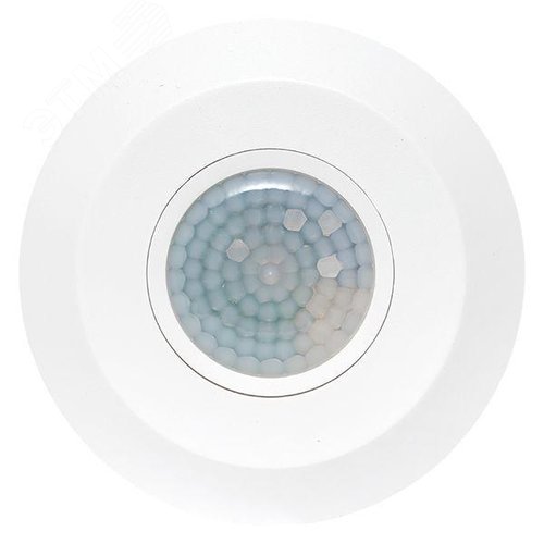 Миниатюра 2