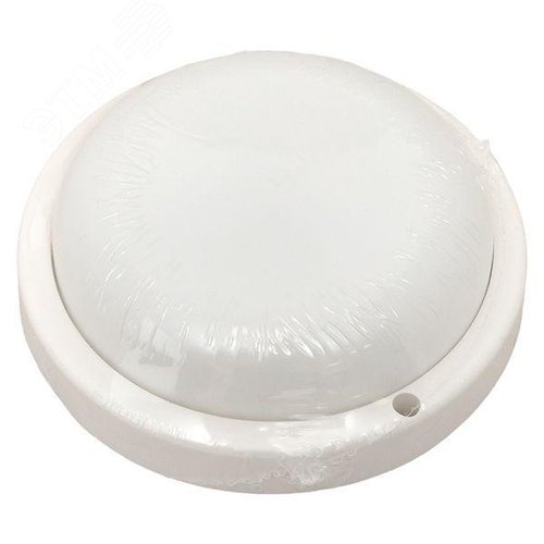 Миниатюра 7