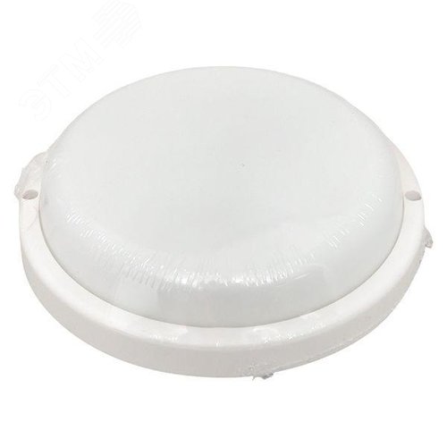 Миниатюра 7