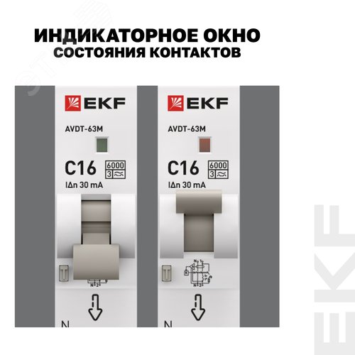 Миниатюра 12