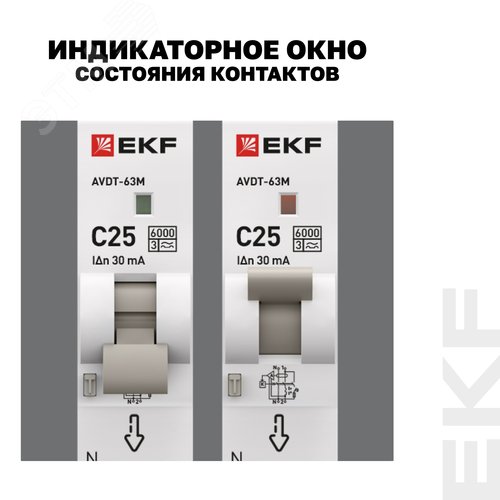 Миниатюра 12