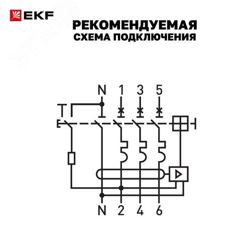 Миниатюра 11