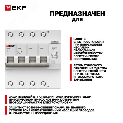 Миниатюра 10