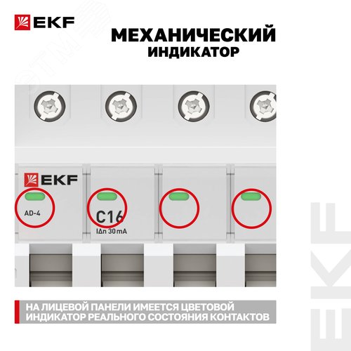 Миниатюра 12