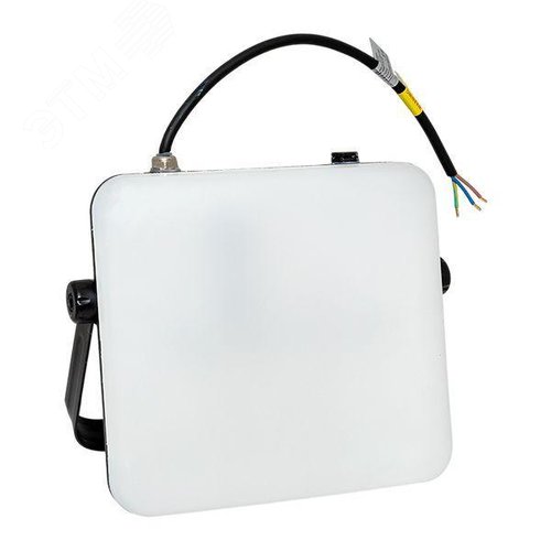 Миниатюра 12