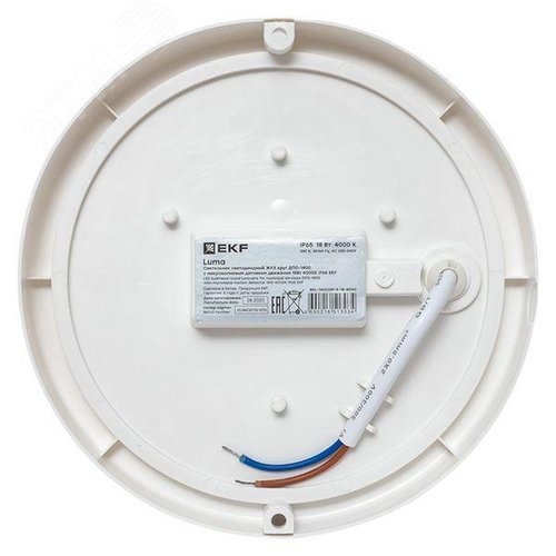 Миниатюра 3