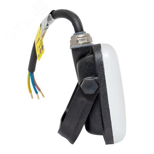 Миниатюра 3