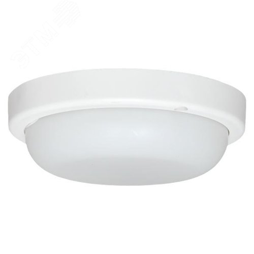 Миниатюра 5