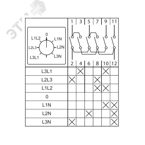 Миниатюра 13