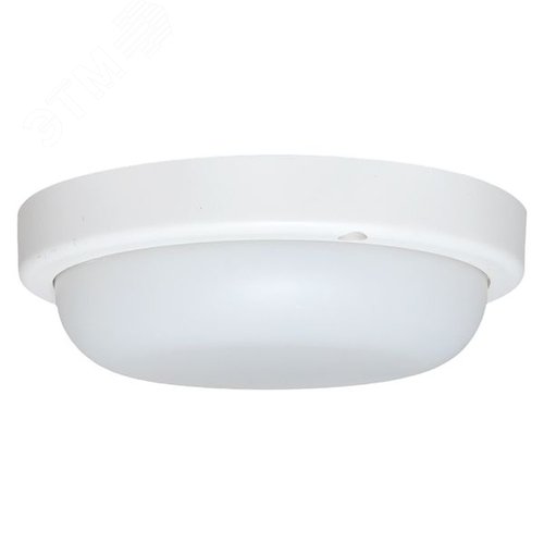 Миниатюра 5