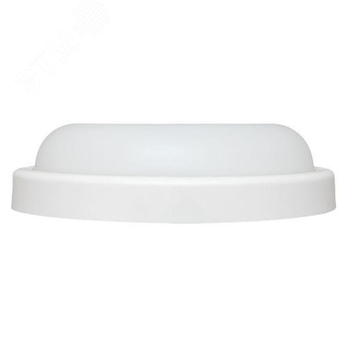 Миниатюра 4