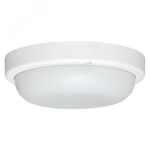 Миниатюра 5