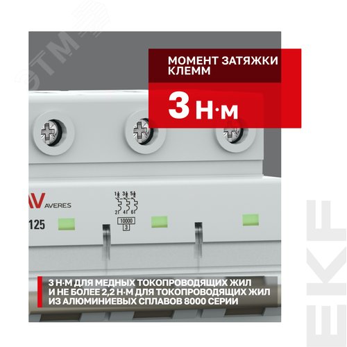 Миниатюра 7