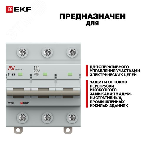 Миниатюра 10