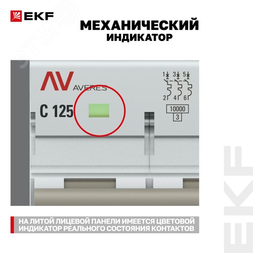 Миниатюра 13